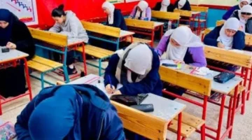 نتائج قطاعات سوهاج.. تقدم أعمال تصحيح الامتحانات وتحديد موعد إعلان الكنترولات للدرجات